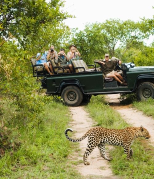 South African Grandeur