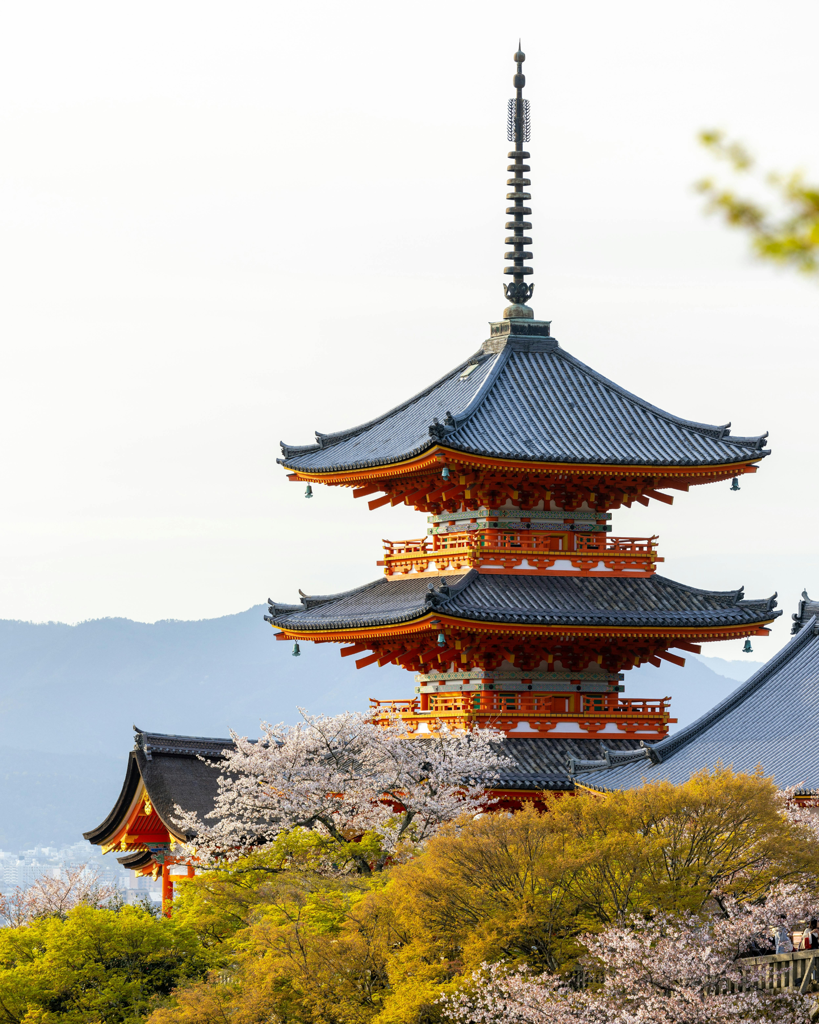 Japan – Tokyo & Kyoto