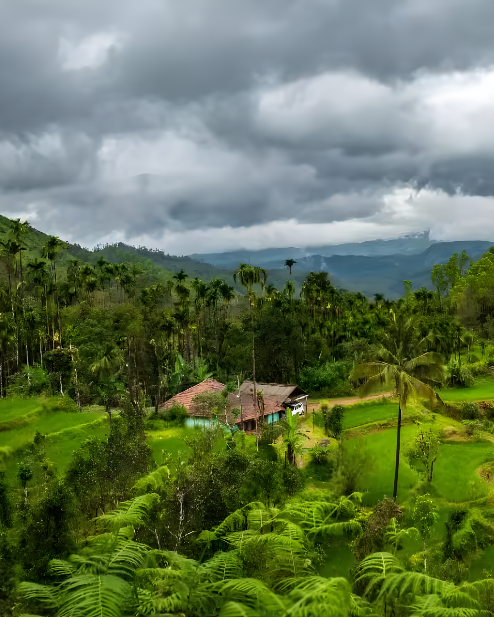 Coorg & Madikeri Nature Camp 