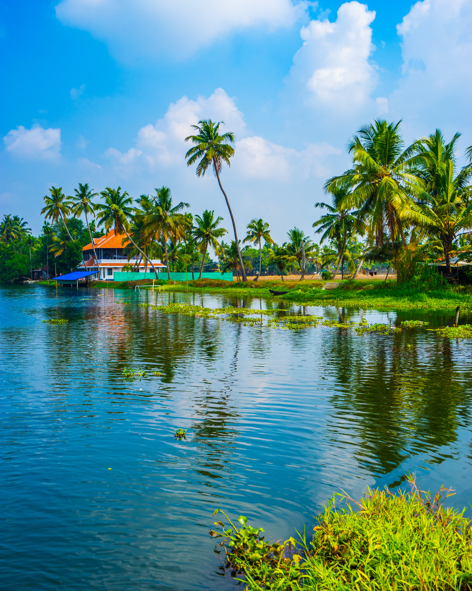 Kerala – Backwater & Wildlife Trip