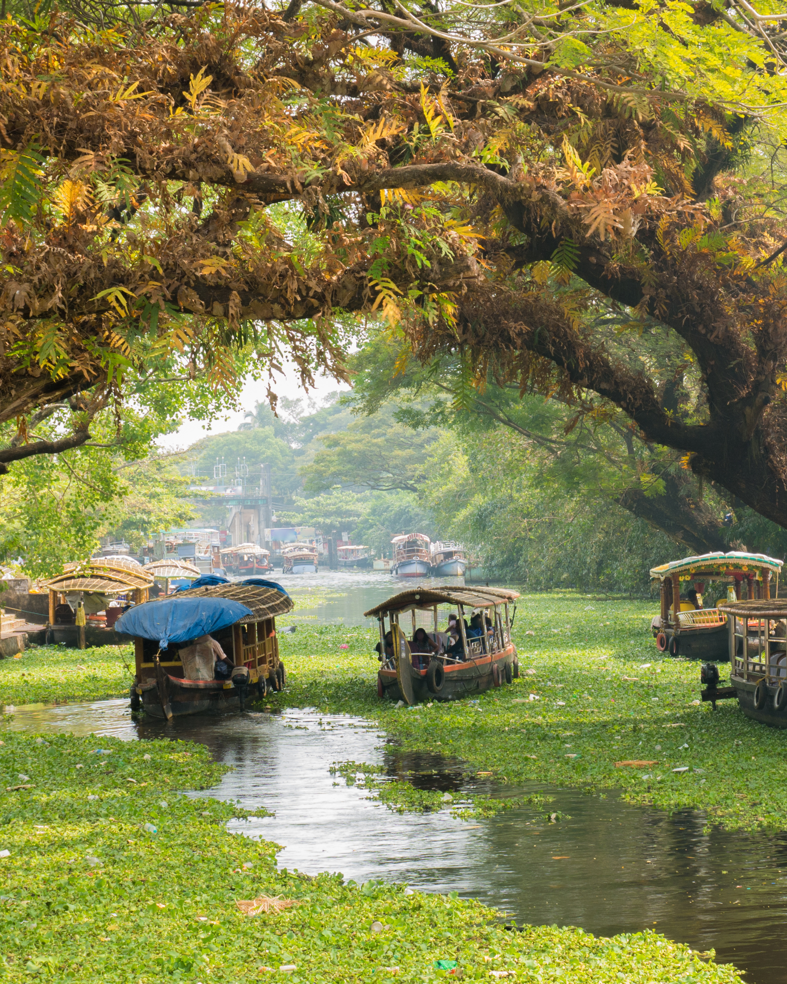 Kerala Leisure & Backwaters 