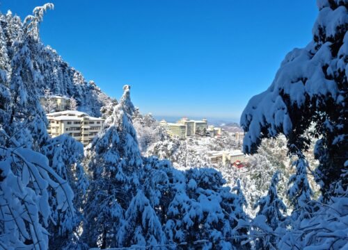 Shimla Tour Package