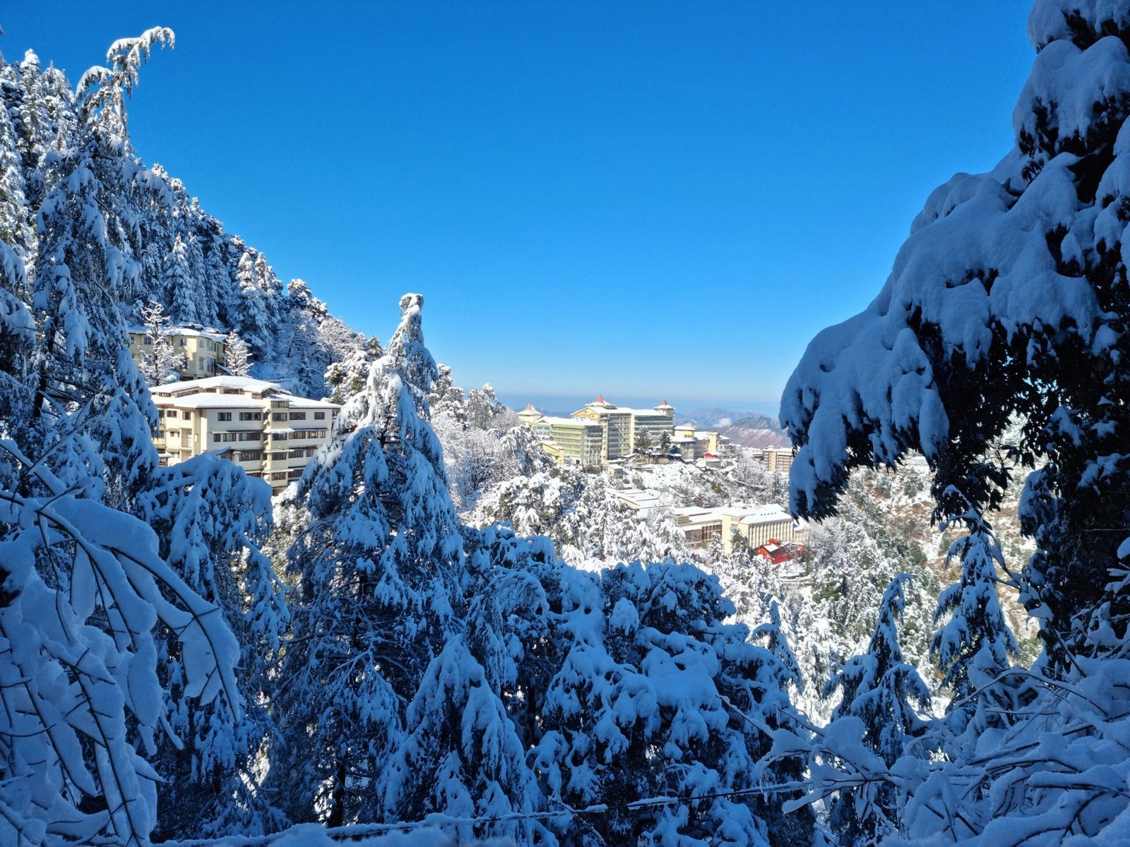 Shimla Tour Package